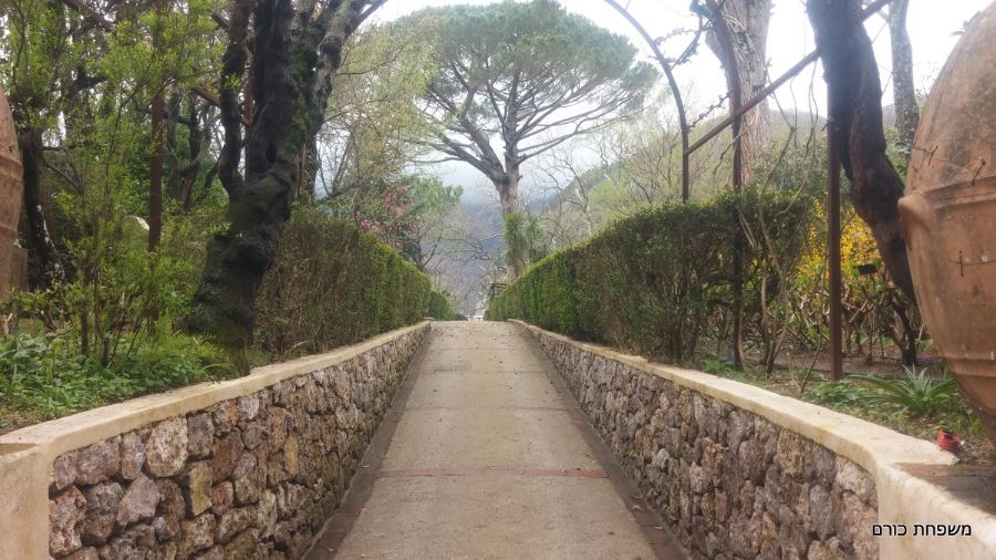 וילה צ'ימברונה